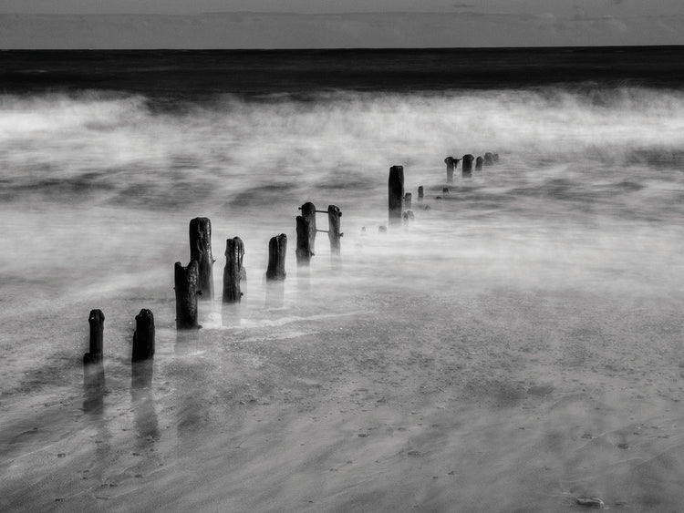 Arte de lienzo de paisaje marino en blanco y negro