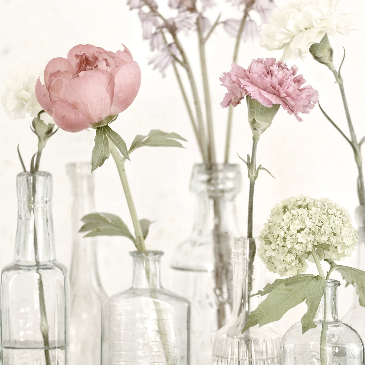 Flowers in Bottles Still Life