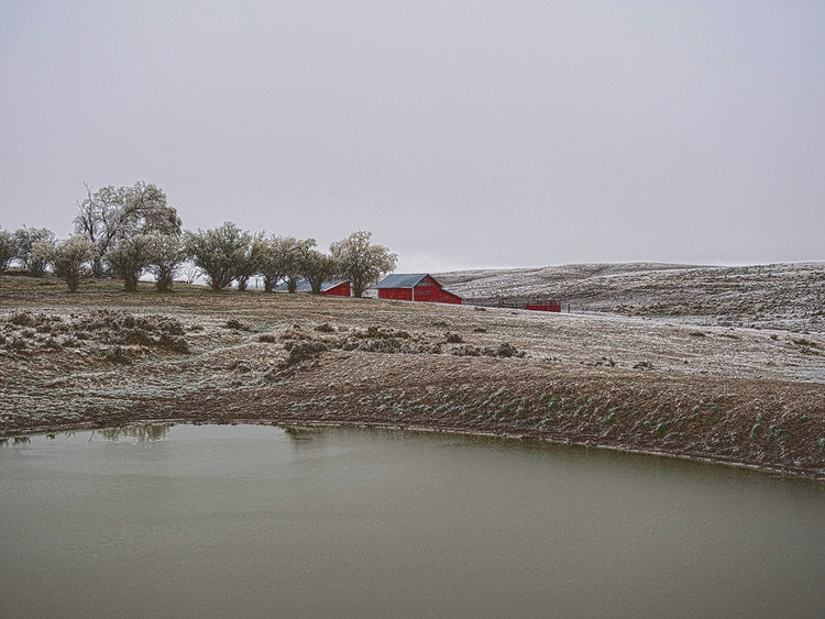 Arte de la lona temprano en la mañana de Wyoming