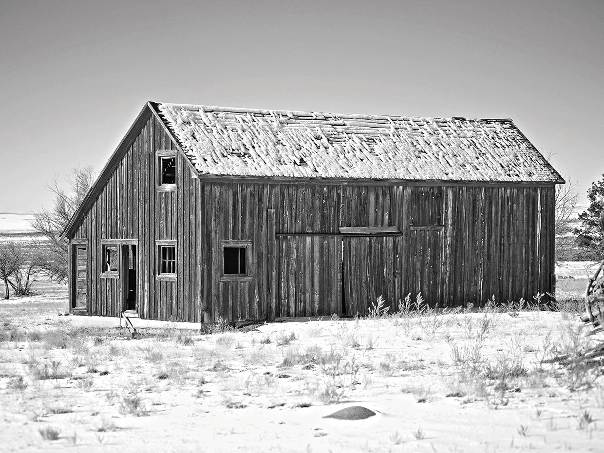 The Reed Place 1
