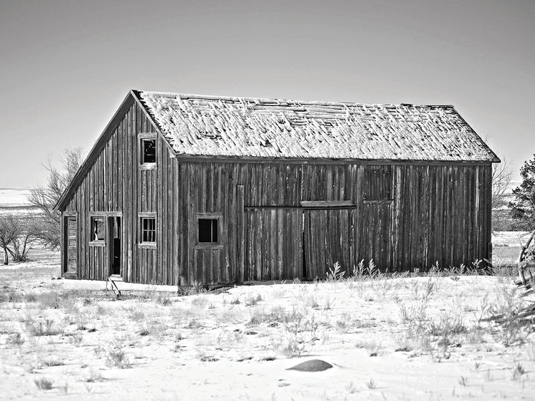 The Reed Place 1