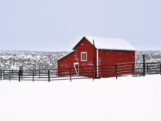 Red Barn In Winter Canvas Art