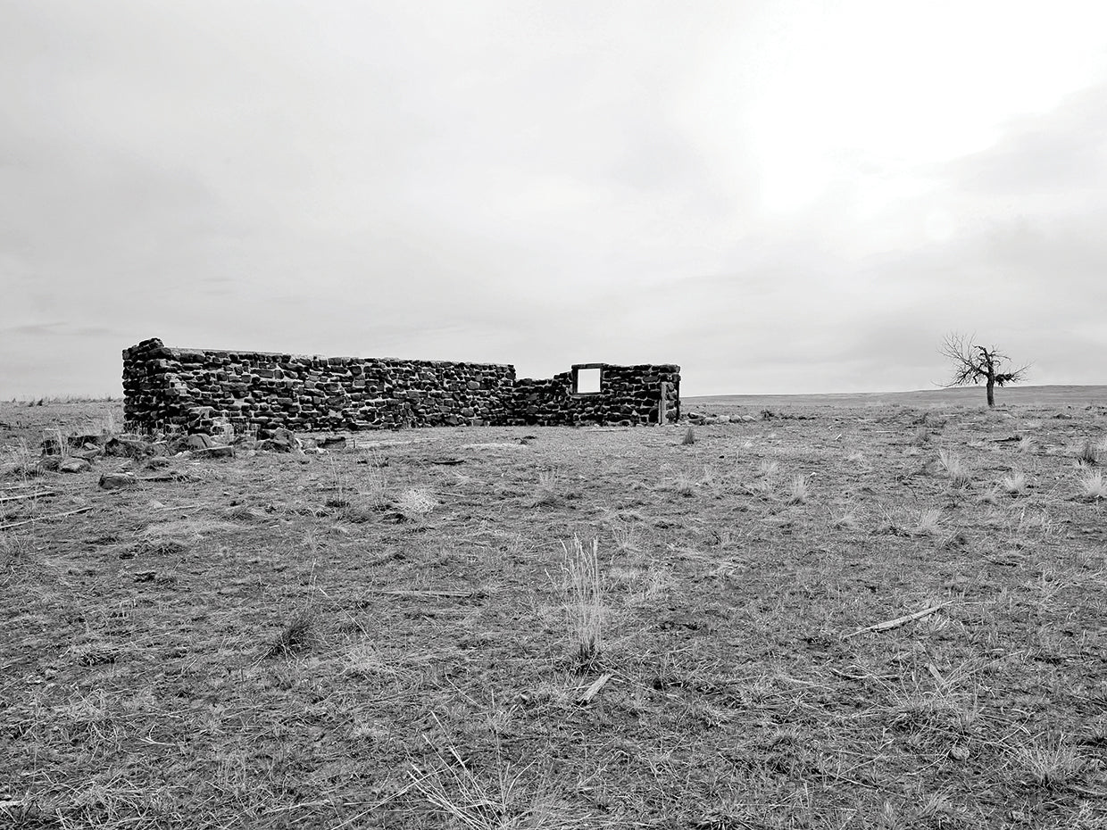 Homestead And Tree
