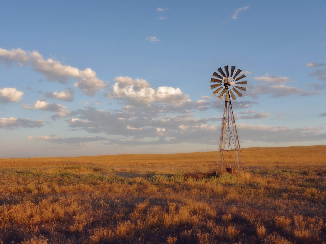 Molino de viento de South Leunberger al atardecer Lienzo