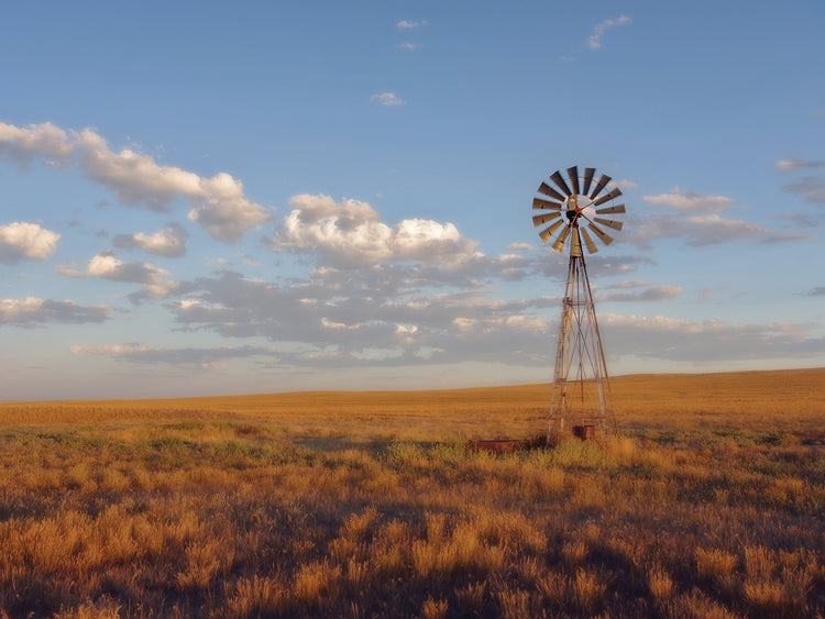 Molino de viento de South Leunberger al atardecer Lienzo