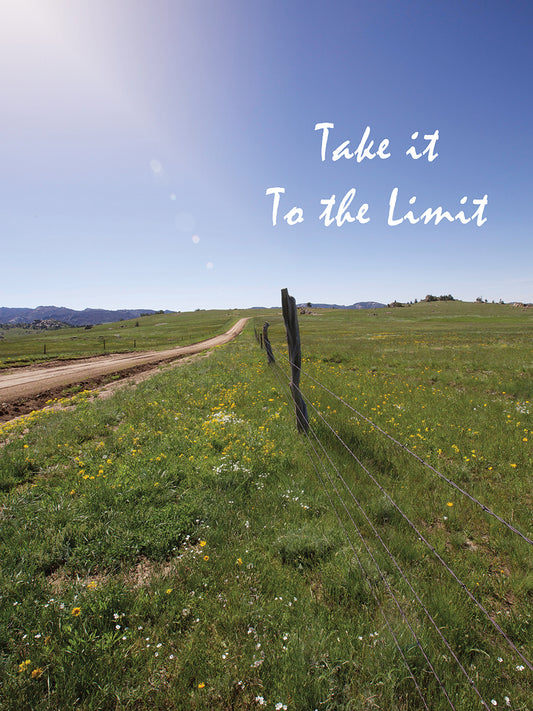 Take It To The Limit Canvas Art
