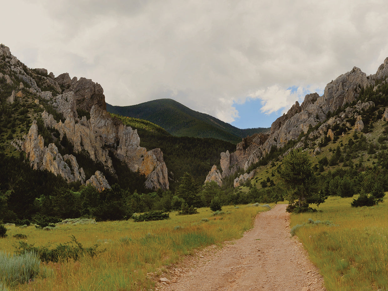 Arte de la lona de las montañas de Beartooth