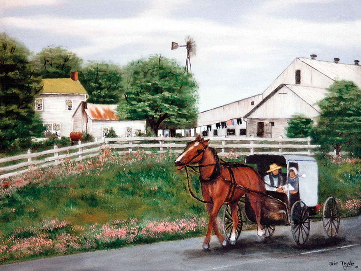 Amish Country 1