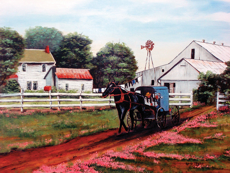 Amish Country 2