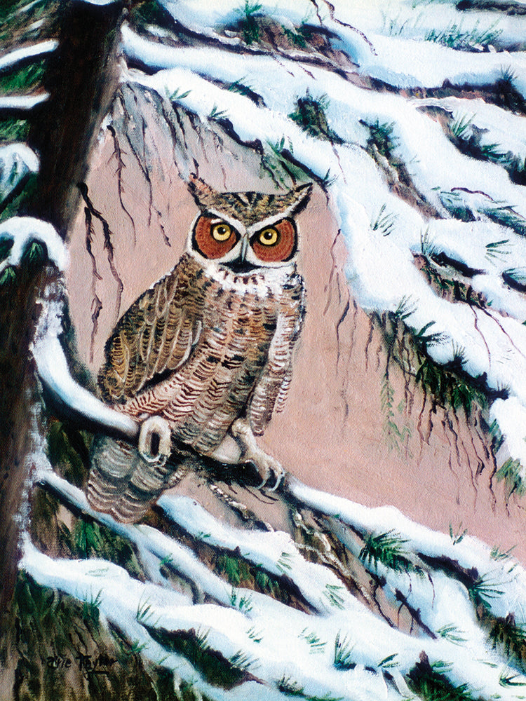 Great Horned Owl In Winter