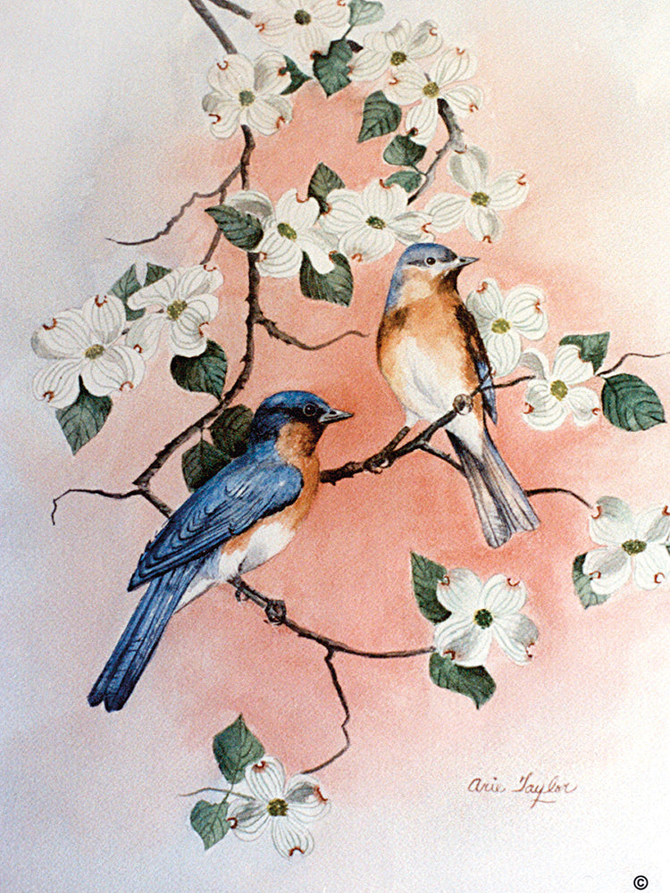 Bluebirds and Dogwood