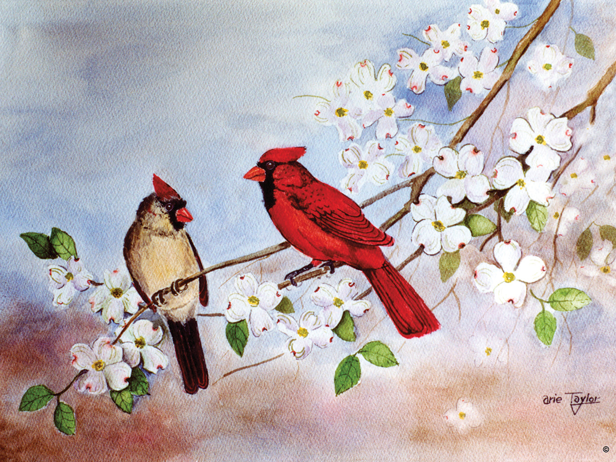 Cardinals and Dogwood