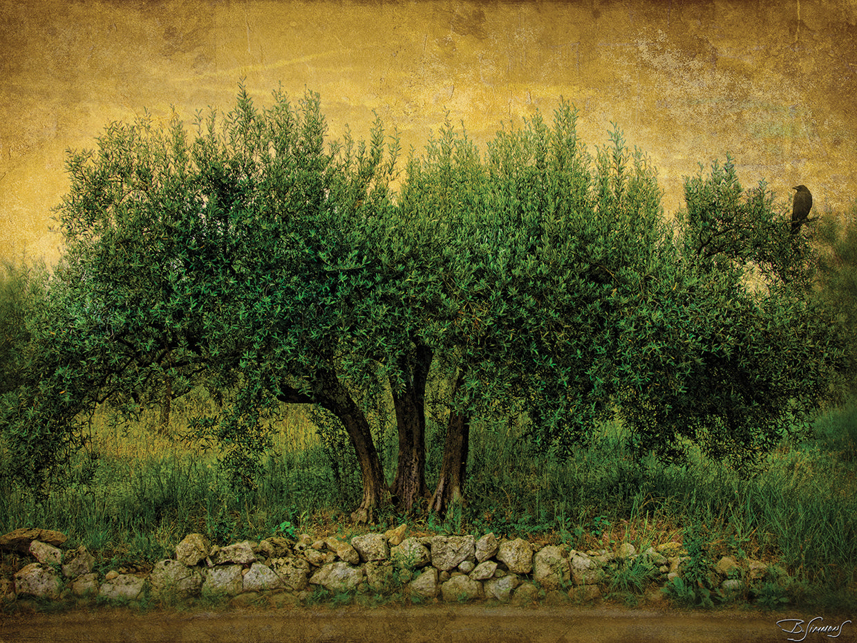 Natures Menage a Trois