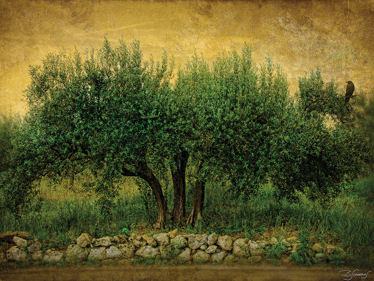 Natures Menage a Trois