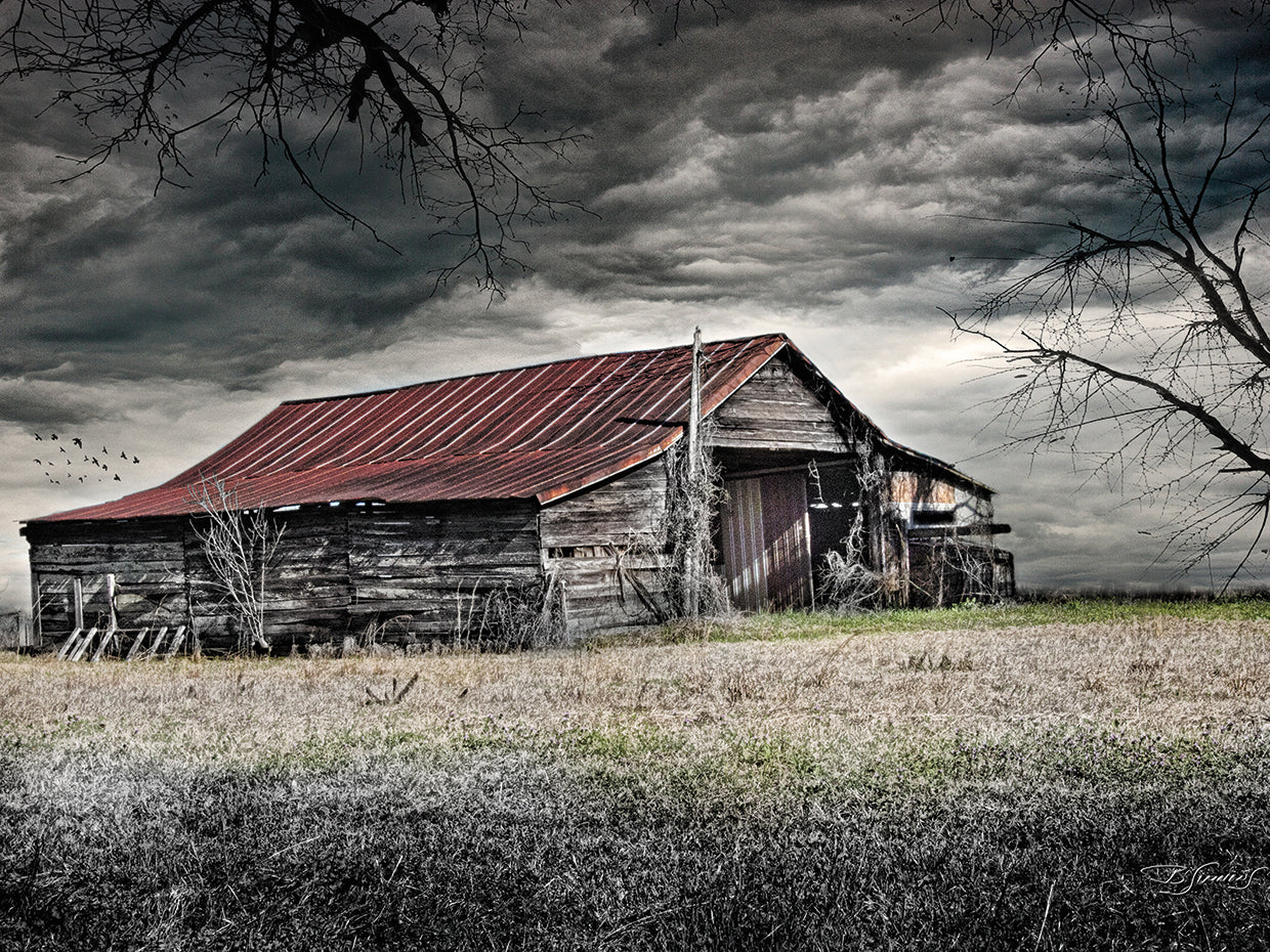 Storm Barn