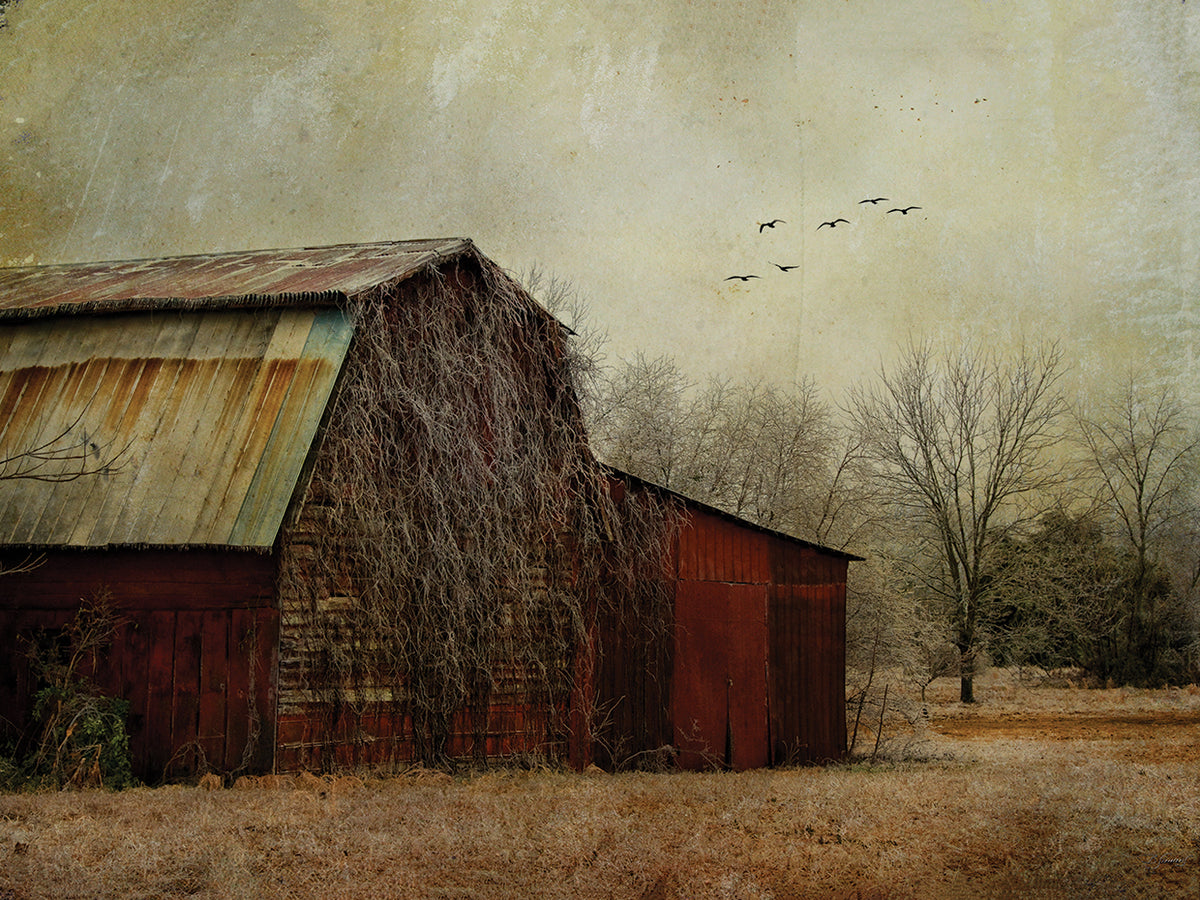 the Red Barn