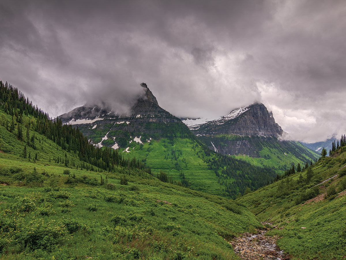 A Storm Brewing