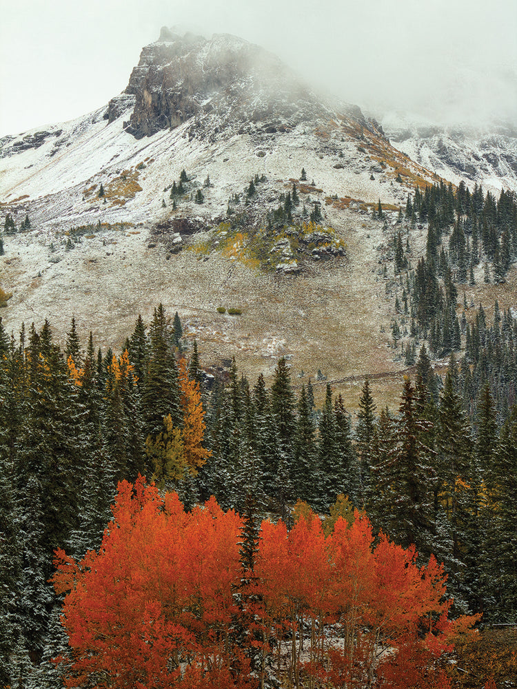 An Epithany Of Red-Orange