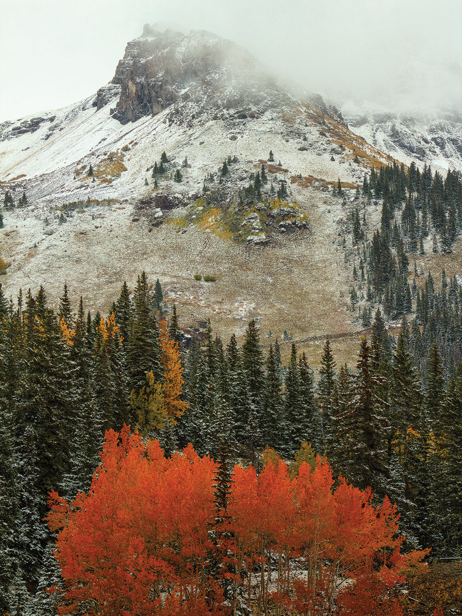 An Epithany Of Red-Orange