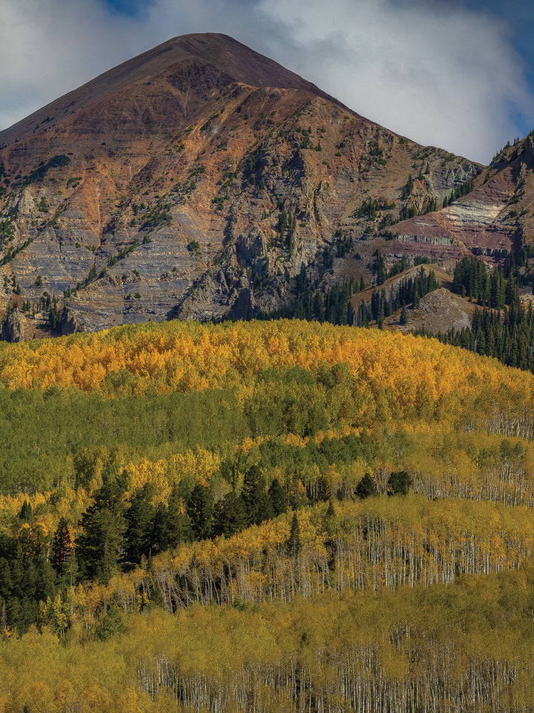 Autumn Mountain Near Crested Butte