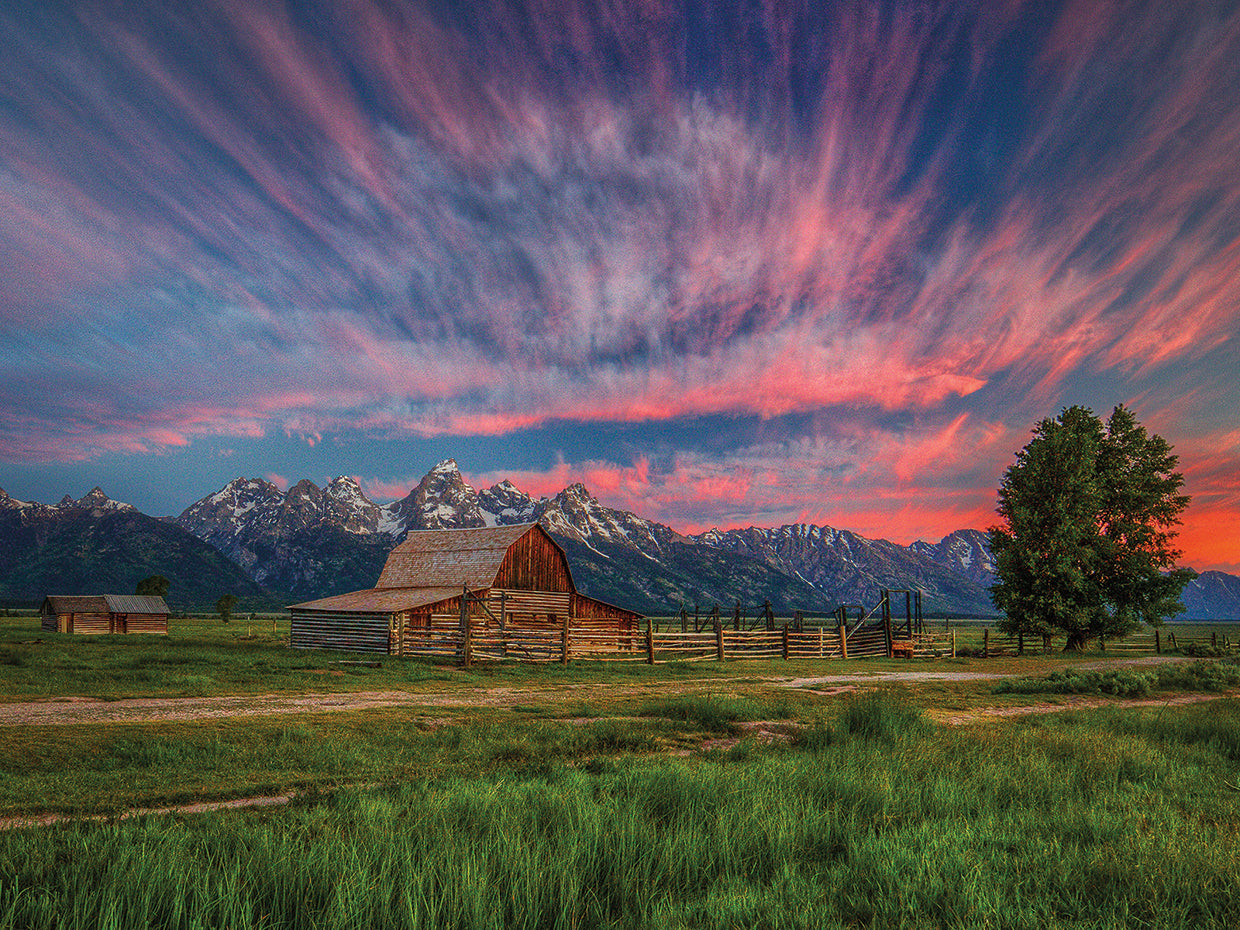 Beneath Teton Glory