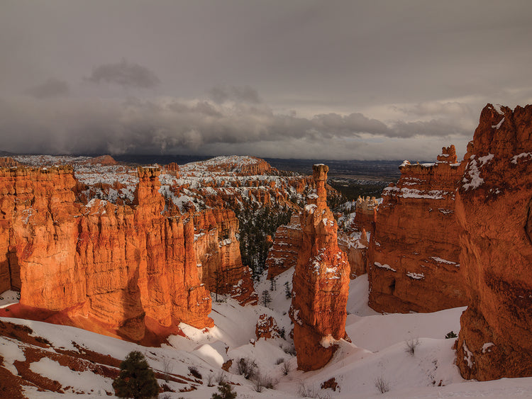 Color After The Storm