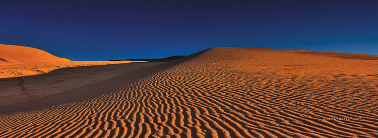 Arte de la lona de los garabatos de las dunas