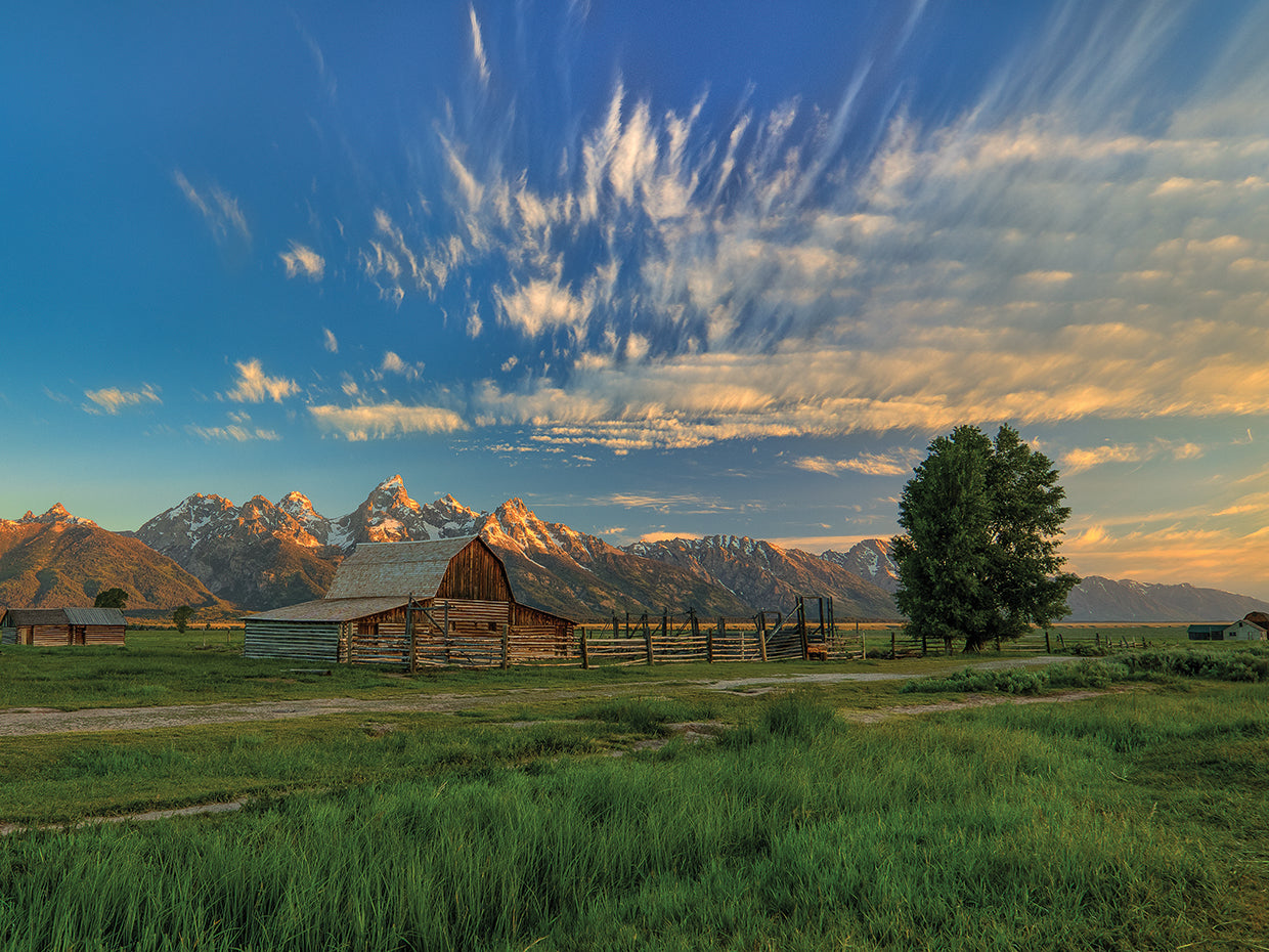 Golden Teton Morning