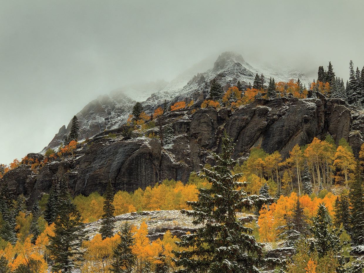 In The Wake Of Autumn