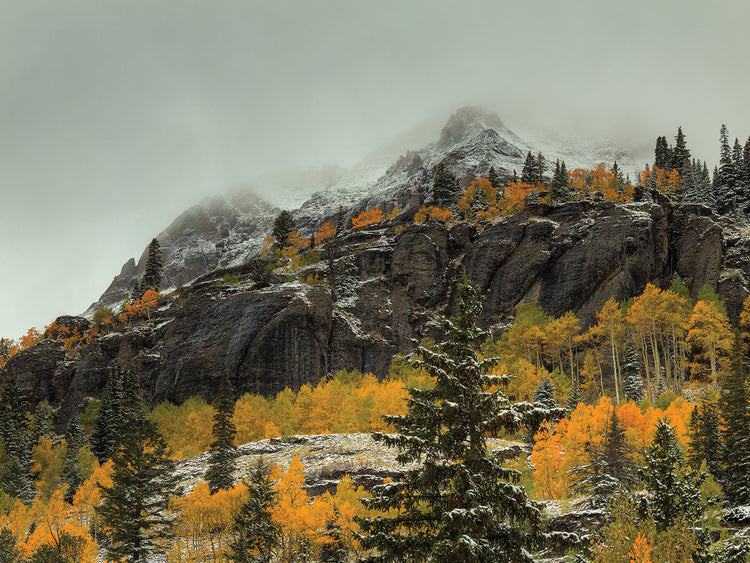 In The Wake Of Autumn