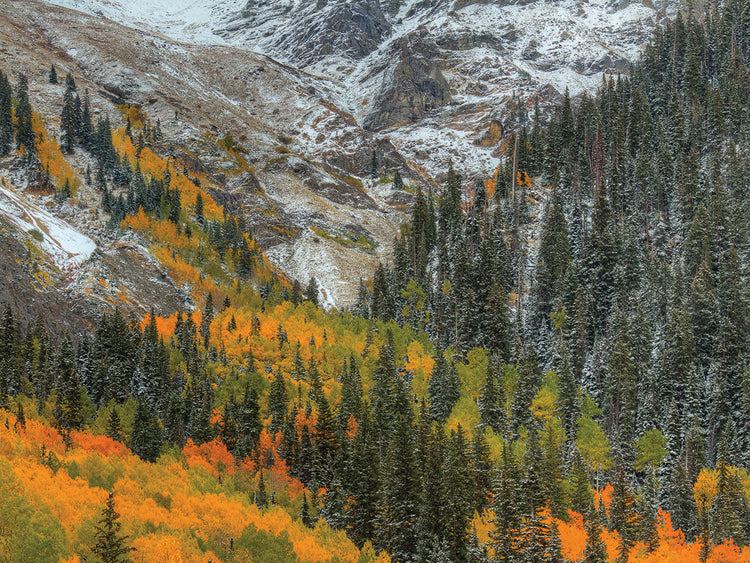 Mountains And Aspens