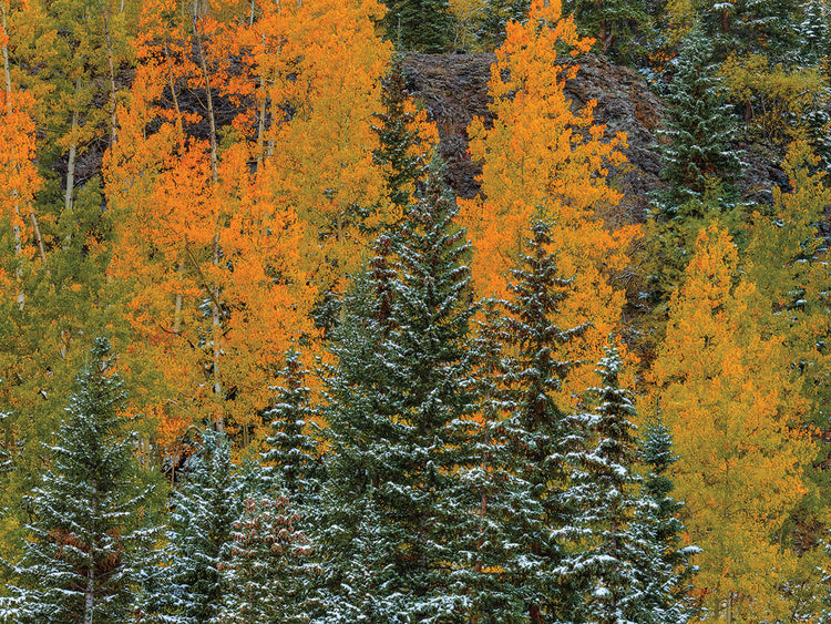 Orange Pastel Splash