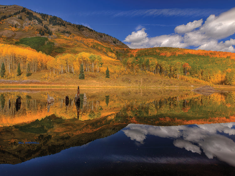 Reflecting On Autumn
