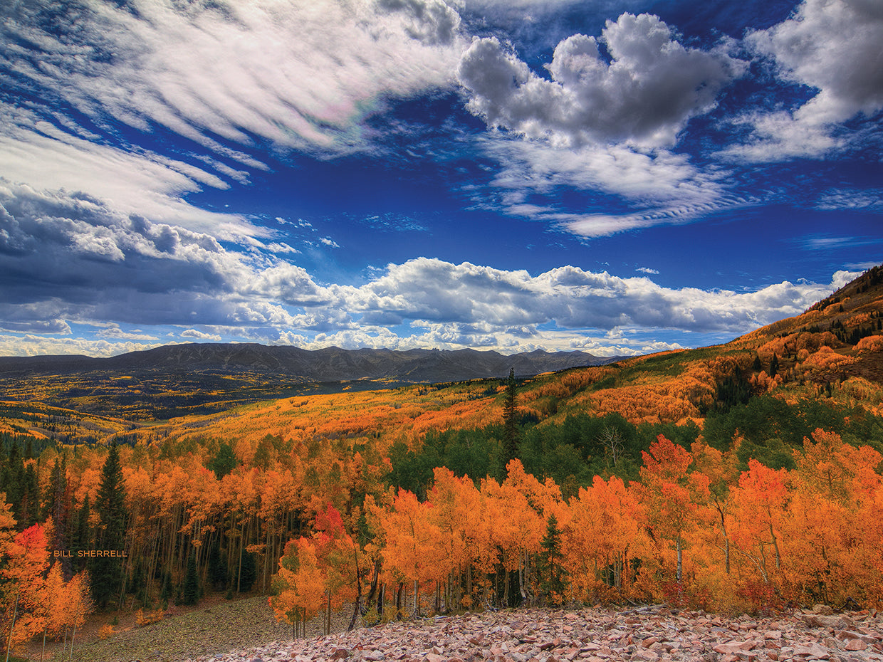 Aspen Wildfire At Ohio Pass