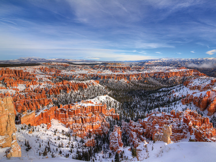 Transformation At Bryce Canyon