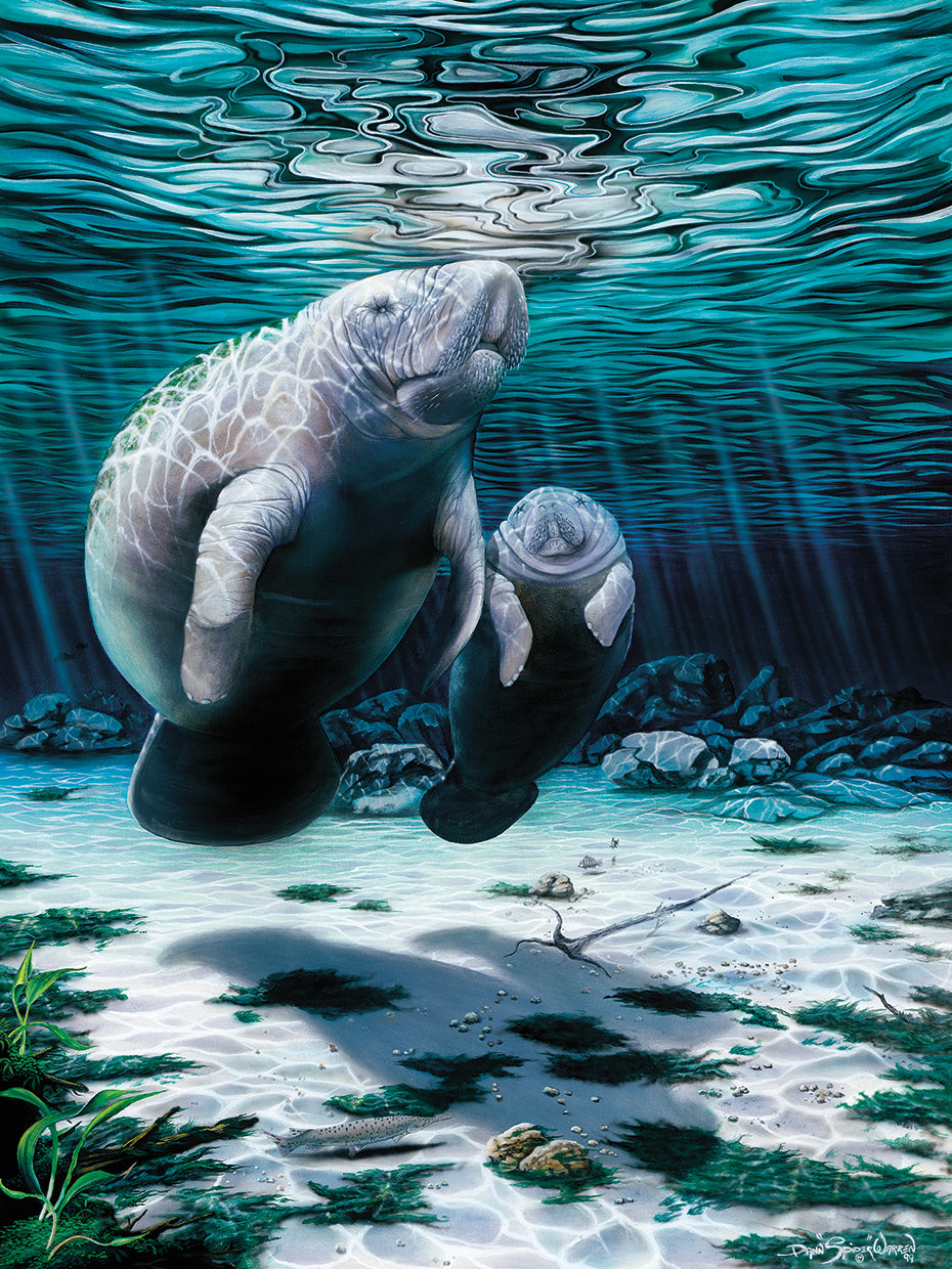 Mermaids Of Crystal River