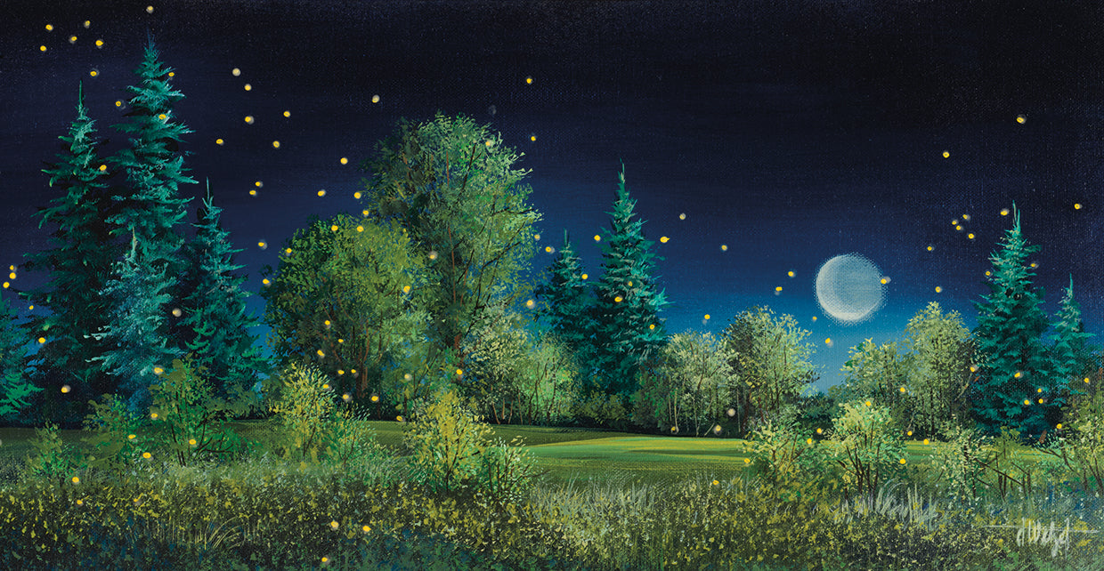 Fireflies at Night