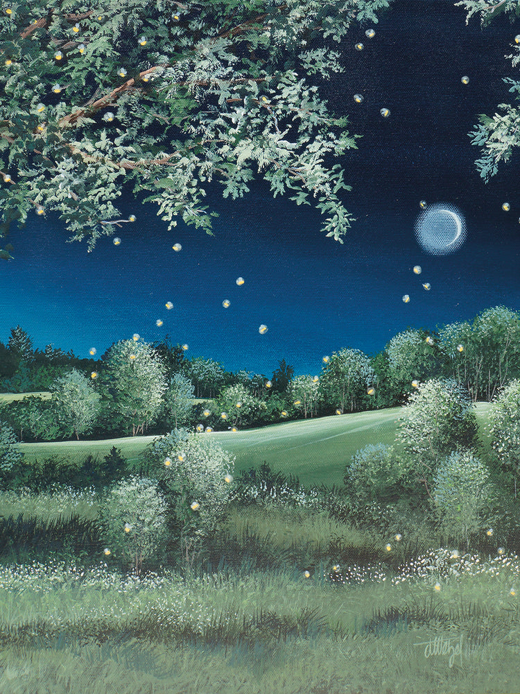 Fireflies Meadow