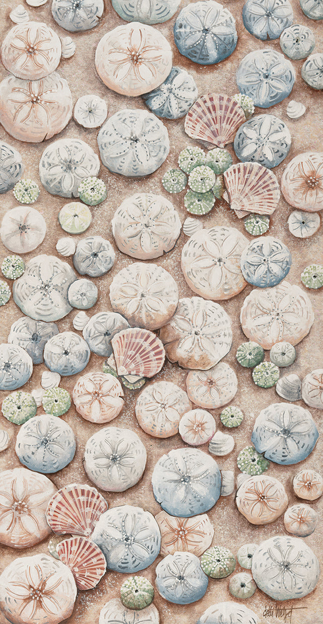Sand Dollars