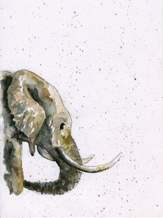 Watercolor Elephant Canvas Art