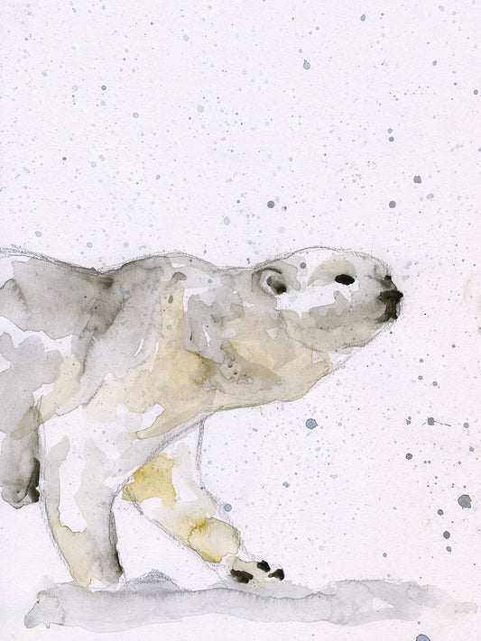 Polar Bear Canvas Art
