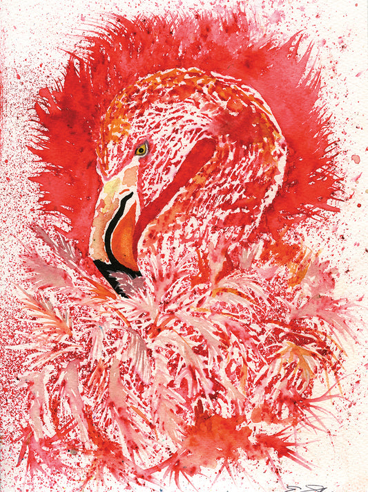 Flamingo # 2 Canvas Art