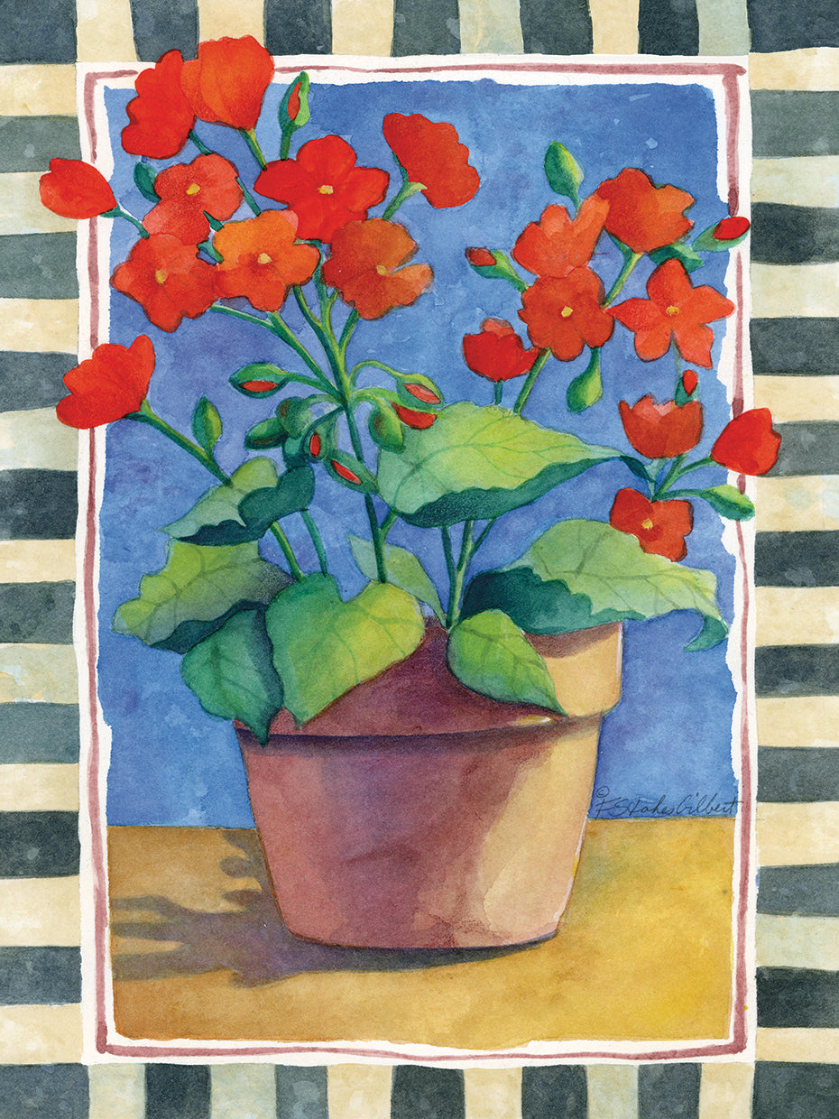 Geraniums