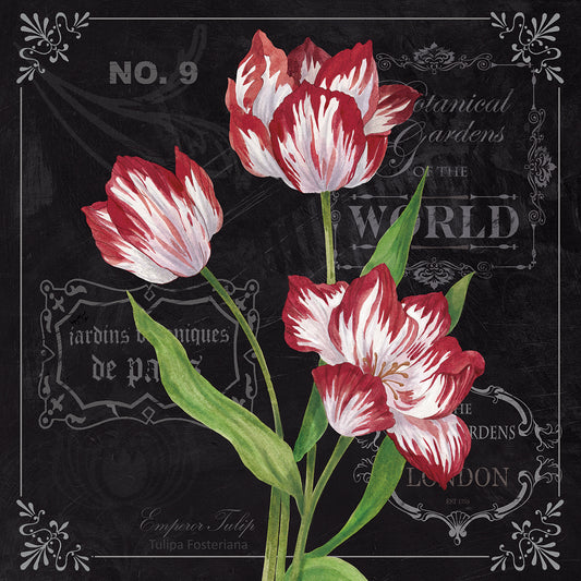 Tulips Canvas Print