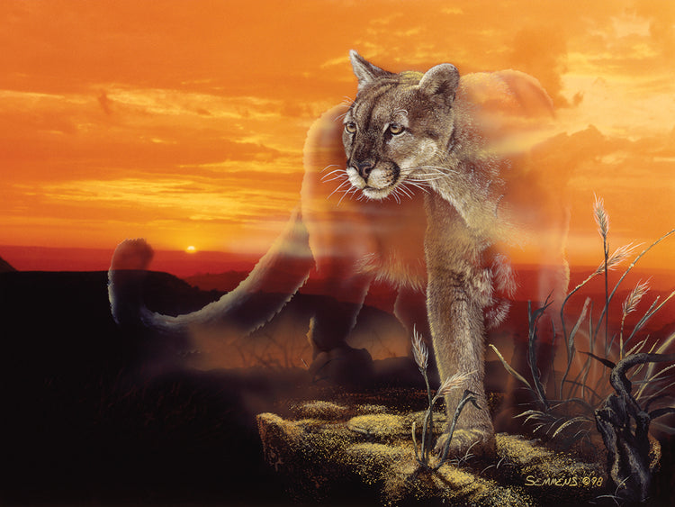 Ghost Of The Badlands