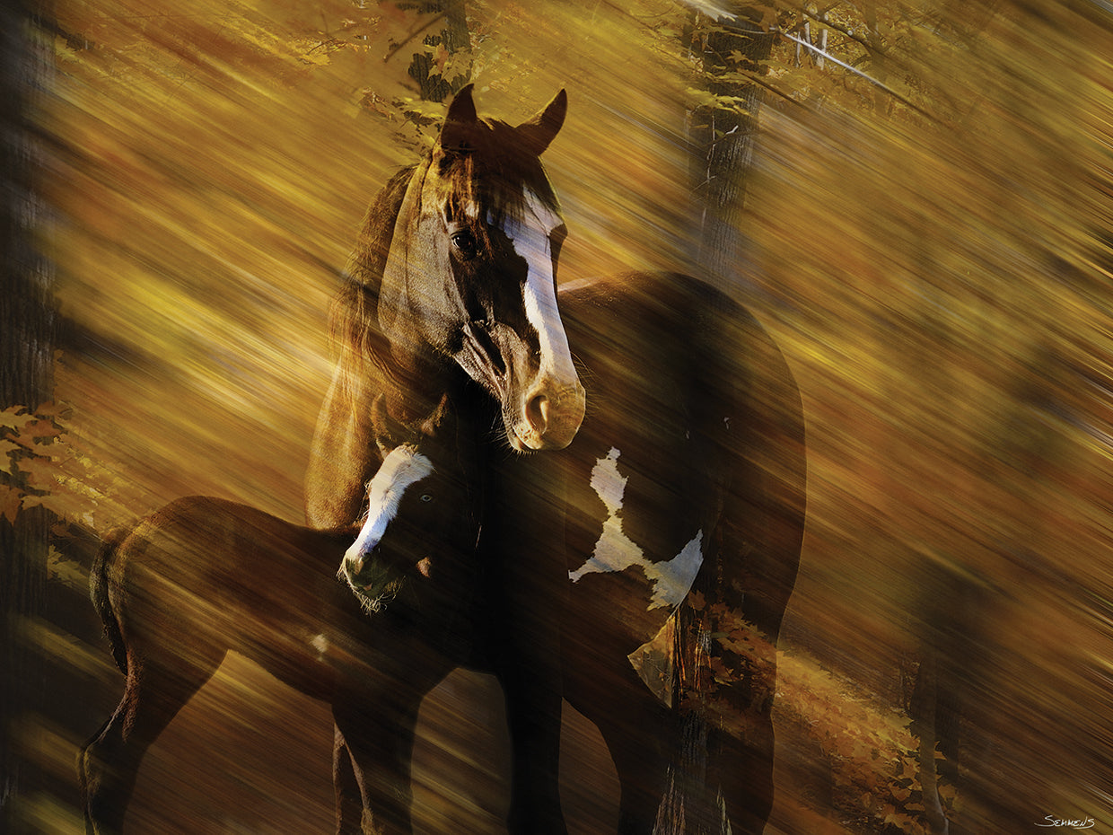 Wild Horses in the Badlands I