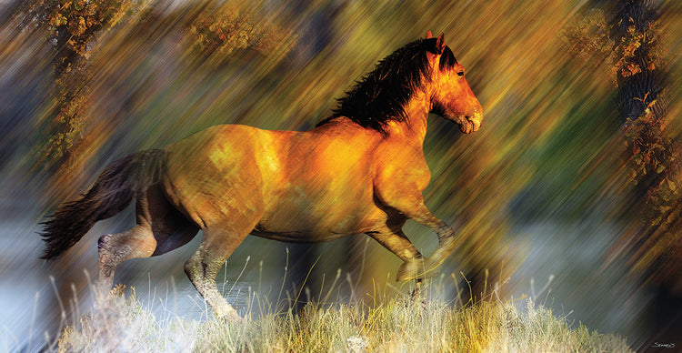 Wild Horses in the Badlands II