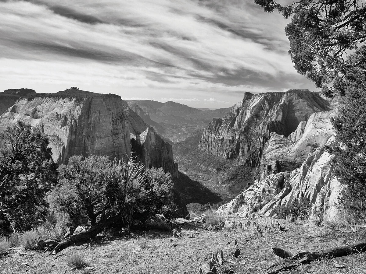 ZION 06