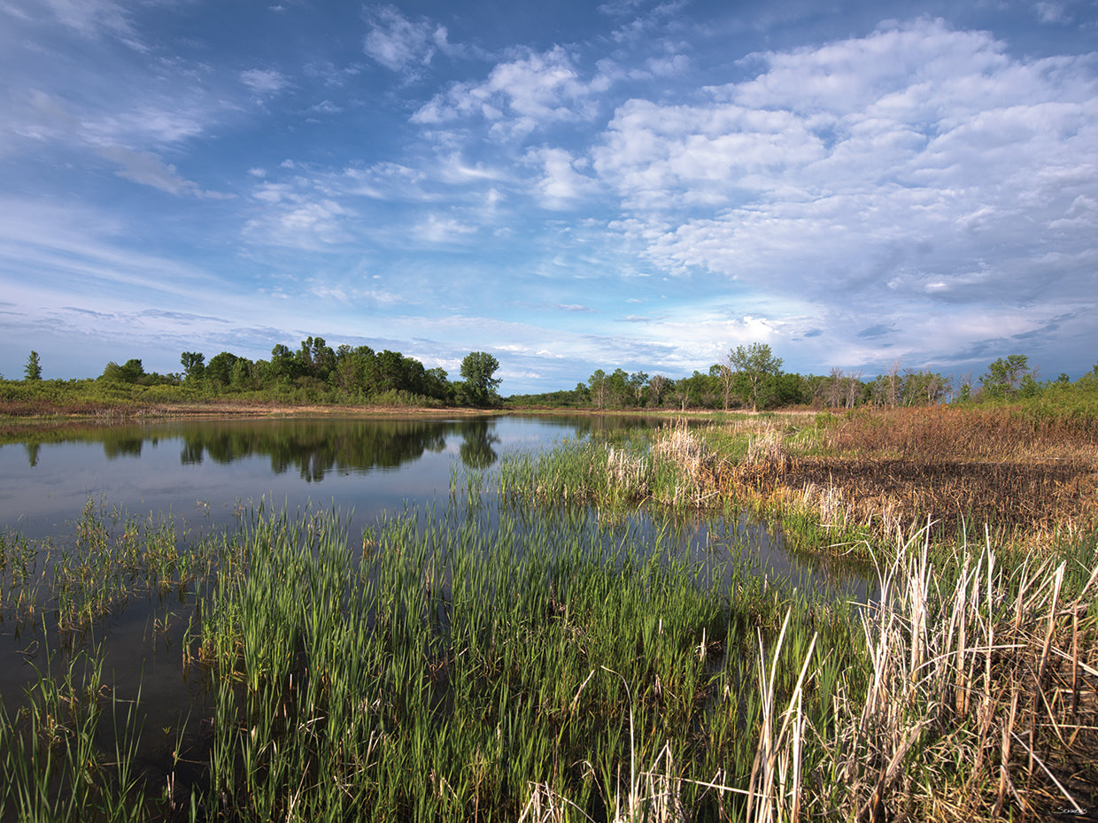 Nature Photography # 6