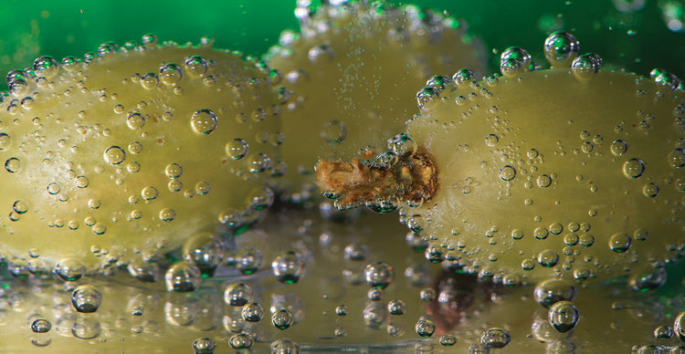 Grapes with Wate Drops